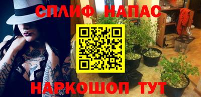 ГАЛЛЮЦИНОГЕННЫЕ ГРИБЫ Краснознаменск