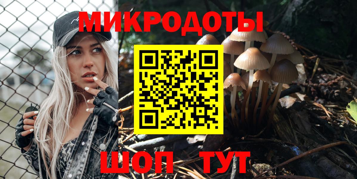 Галлюциногенные грибы Cubensis  Вход с VPN  Ипатово 